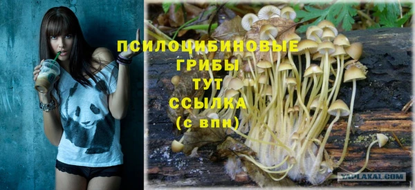 амф Алексин