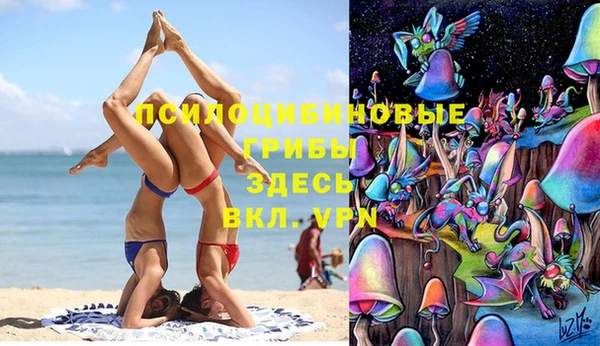 крисы Саяногорск