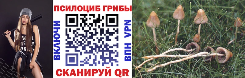 Галлюциногенные грибы MAGIC MUSHROOMS Карабаш